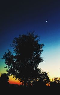 Low angle view of silhouette tree against sky at night