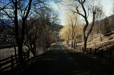 Dirt road amidst trees against sky