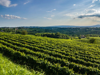 Scenic view of green landscape against blue sky