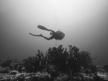 Man scuba diving in sea