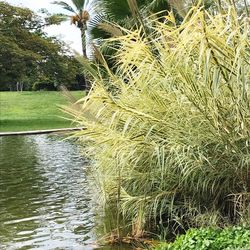 Scenic view of lake