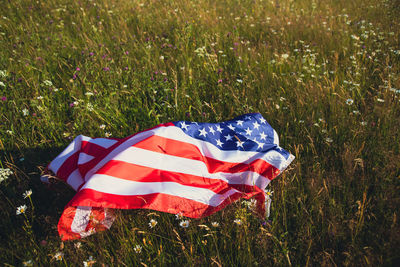 American flag on grass