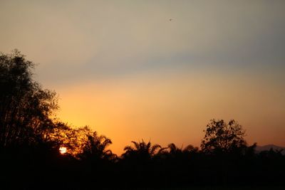 Silhouette trees against sky during sunset