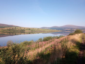 Scenic view of lake against clear sky