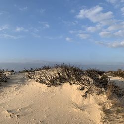 Scenic view of desert against sky