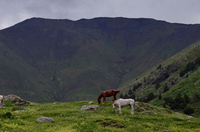 Scenic view of mountains