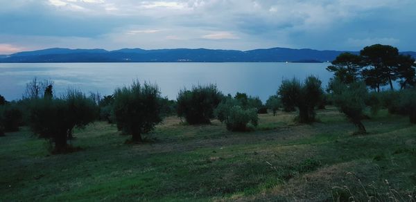 Scenic view of lake and trees against sky