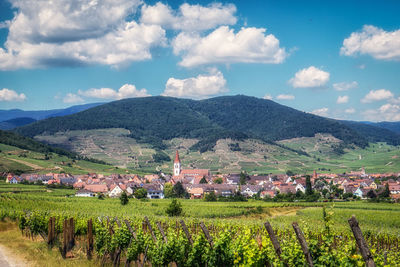 The view of ammerschwihr and famous grand cru vine yards of alsace. taken in alsace region, france