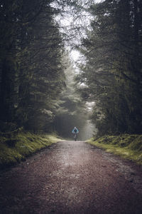 Mountain biker riding dirt road in foggy pine forest