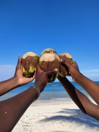 Cropped hand of woman holding seashell at beach against clear blue sky