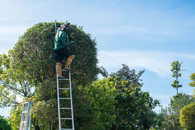Low angle view of trees against sky