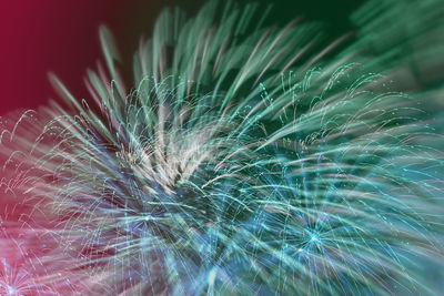 Close-up of fireworks over black background