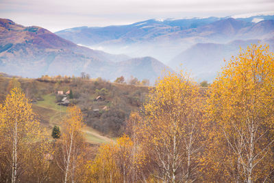 Scenic view of trees and mountains against sky during autumn