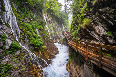 Scenic view of waterfall in forest