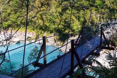 Swimming pool against trees