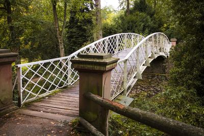 Arch bridge in forest