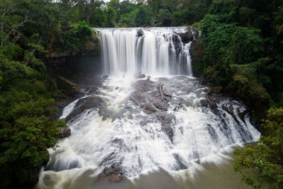 Scenic view of waterfall in forest