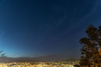 Low angle view of illuminated trees against sky at night