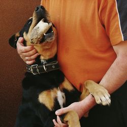 Midsection of man holding dog
