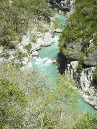 Scenic view of river amidst trees