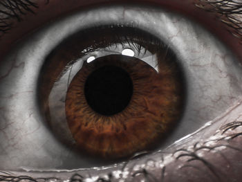 Extreme close up of human eye