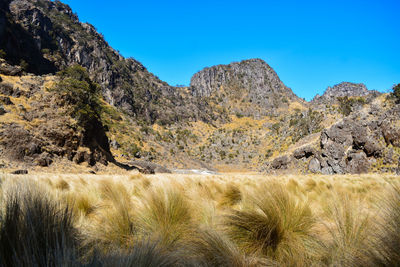 Landscape savanna crater of sumbing mountain with high cliffs, central java