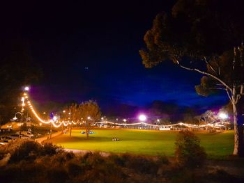 High angle view of illuminated trees at night