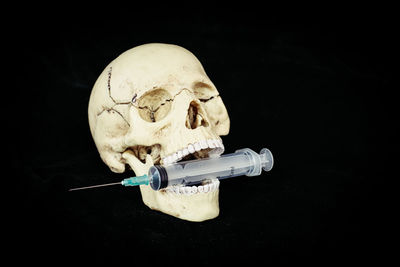 Close-up of human skull against black background
