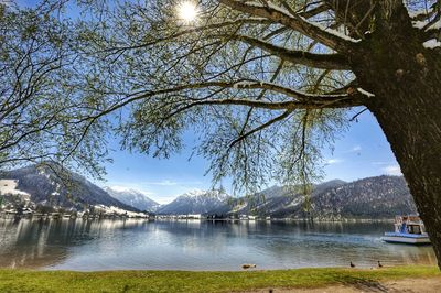 Scenic view of lake by trees against sky