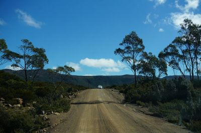 Empty road along plants and trees against blue sky