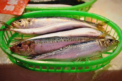 Close-up of fish in basket