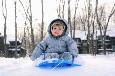 Portrait of baby boy on sled against trees at snow covered field