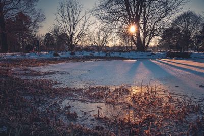 Snow covered trees against sky during sunset