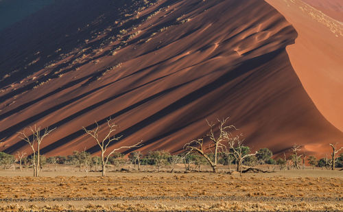 Scenic view of desert against sky