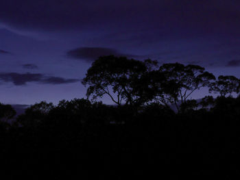 Silhouette trees against sky at night