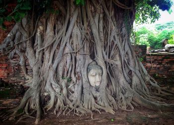 Sculpture of tree trunk