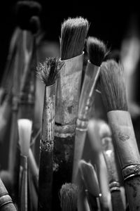 Close-up of paintbrushes