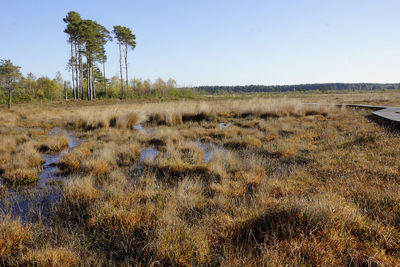 Scenic view of landscape against clear sky