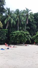 People relaxing at beach