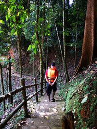 Rear view of man standing by trees in forest