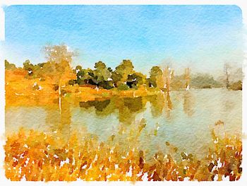 Reflection of trees in water