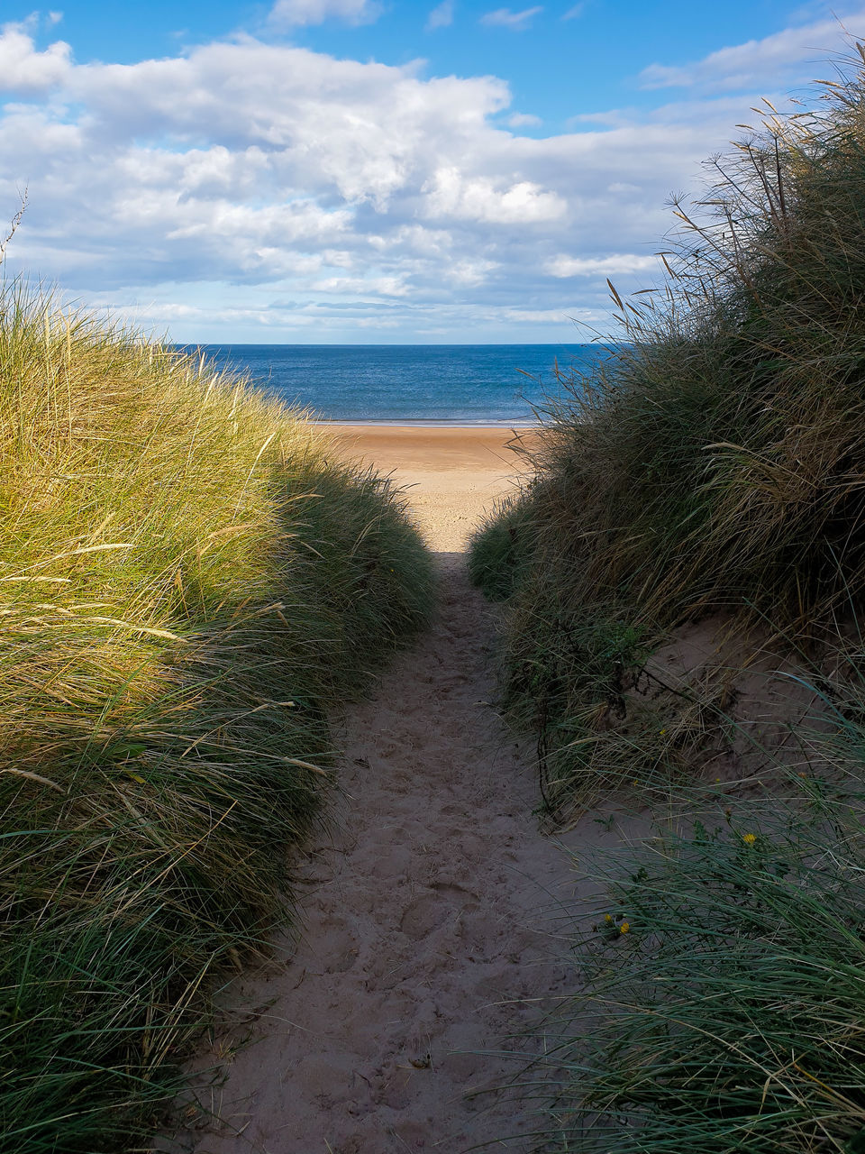 VIEW OF BEACH AGAINST SKY