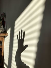 Shadow of person on wall