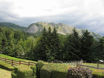 Scenic view of trees and mountains against sky