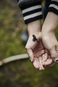 Close-up of girl holding small frog