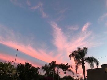 Low angle view of silhouette trees against sky during sunset