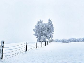 Trees on snow covered field against sky