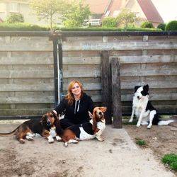 Portrait of woman sitting with dogs against fence