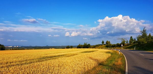 Scenic view of agricultural field against sky