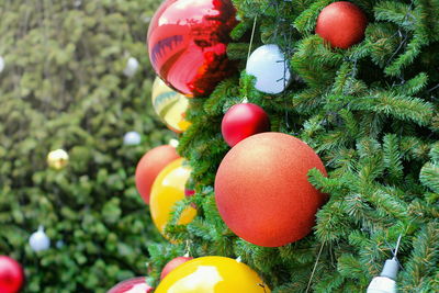 Close-up of christmas decorations on tree